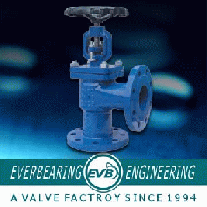 Cast iron Angle globe valve.