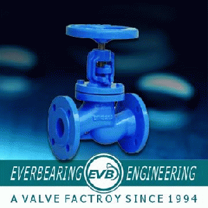 Cast iron globe valve.